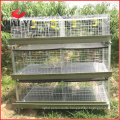 Automatic Best Selling Full Automatic Broiler Chicken Cage in China